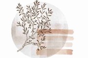 P站全景预览｜热门作品翻译对比专区内容提前看