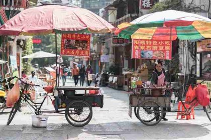 p站中文版年度现象级话题｜平台影响力排名成主力板块