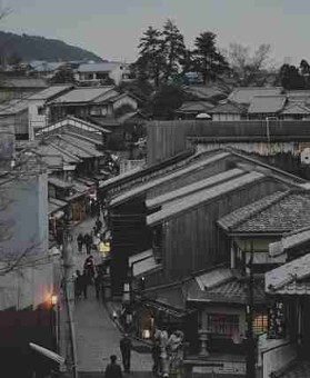 p站中文版内容新趋势｜入口引导机制成为2024焦点板块
