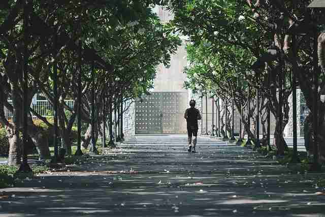 P站全景预览|会员系统详细拆解专区内容提前看