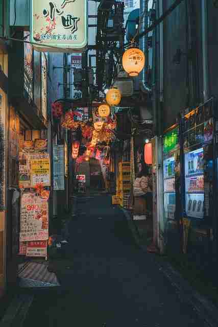 p站官网入口年度现象级话题｜社区活跃动态成主力板块